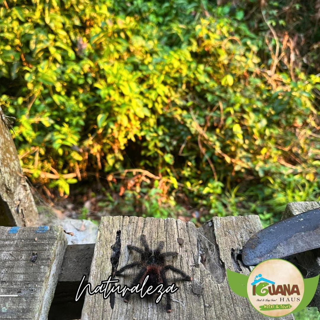 Iguana Haus Iquitos Apartment Ngoại thất bức ảnh